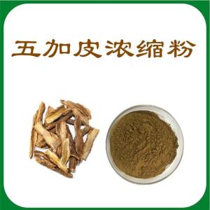 五加皮浓缩粉  喷雾干燥工艺   六盘韵