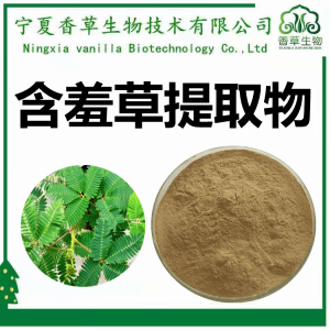 含羞草提取物  50：1 含羞草速溶粉 含羞草浸膏粉产品图片