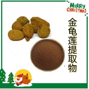 金龟莲提取物 金龟莲粉 10:1多规格 水溶 浸膏 厂家现货 量大从优