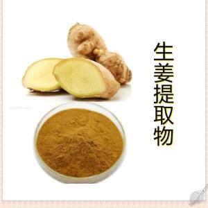 生姜提取物 水溶 生姜粉 生姜浓缩粉 含姜辣素
