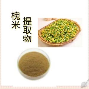 槐米提取物10:1 原料现货 浸膏粉 比例槐花/槐米提取物