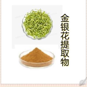 金银花提取物 金银花粉 药食同源药 食品生产厂家