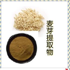 六盘韵    麦芽提取物10:1 浓缩 速溶 浸膏 富硒麦芽粉 大麦提取物