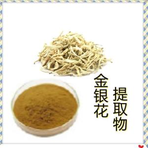金银花提取物10-1 萃取金银花粉 金银花粉