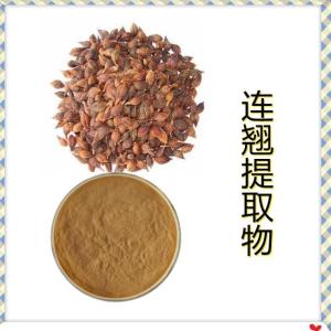 六盘韵  连翘提取物10:1 原料现货 金丝桃素 浸膏粉 比例连翘提取物
