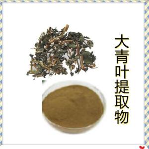 大青叶提取物 蓼大青叶粉 大青叶粉   六盘韵 厂家直营 包邮