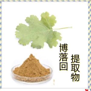 博落回提取物10:1 博落回粉 标准比例萃取
