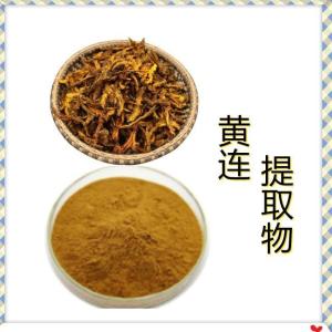 黄连提取物10:1 量大优惠 现货 浸膏粉 比例黄连提取物