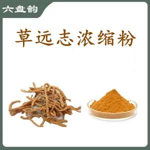 草远志浓缩粉   六盘韵   规格齐全  可定制