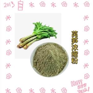 莴笋浓缩粉 植物萃取 质量稳定 莴笋提取物