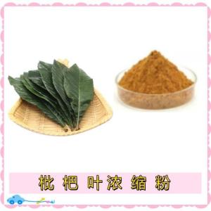 枇杷叶浓缩粉 水溶 可定制