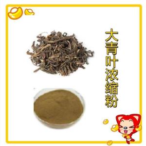 大青叶浓缩粉 提取物 靛玉红 大青叶浸膏粉 可定制