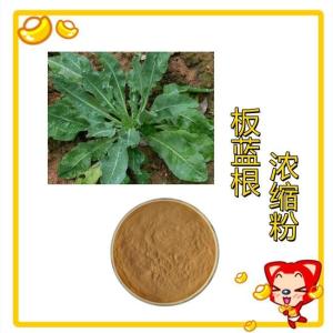 板蓝根浓缩粉  六盘韵