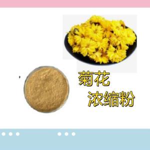 菊花浓缩粉 菊花提取物 菊花粉 工厂生产
