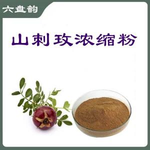 山刺玫浓缩粉  源头供应  包邮 可定制