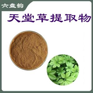 天堂草提取物    食品级    绞股蓝皂甙   可定制