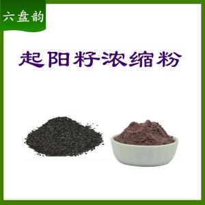起阳籽浓缩粉  六盘韵  规格齐全  可定制