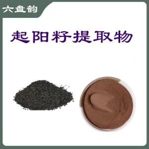 起阳籽提取物  韭菜籽提取物   六盘韵 规格齐全