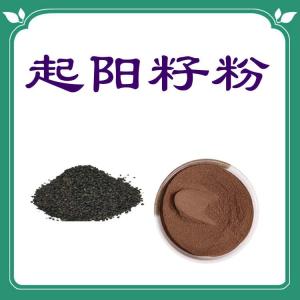 起阳籽粉  六盘韵  规格齐全  资质齐全