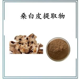 桑白皮提取物    规格齐全  可定制  包邮