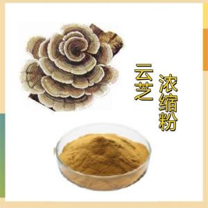 云芝浓缩粉 供应六盘韵生物 植提厂家 可定制