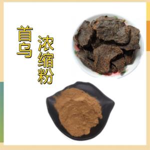首乌浓缩粉  10:1首乌提取物 生产厂家 质量稳定