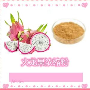火龙果浓缩粉 水溶 可定制 10:1 火龙果浓缩粉厂家