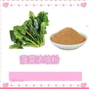 菠菜浓缩粉 资质齐全 厂家包邮