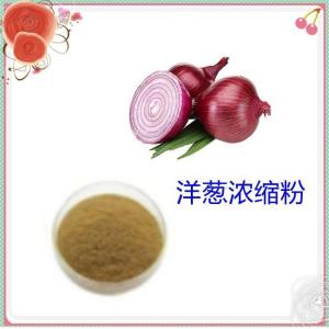 洋葱浓缩粉 水溶 10:1 可定制 洋葱提取物厂家