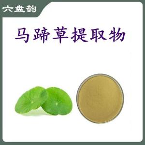 马蹄草提取物  支持取样   六盘韵  规格齐全
