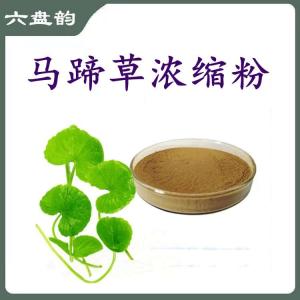 马蹄草浓缩粉   六盘韵  规格齐全  可定制
