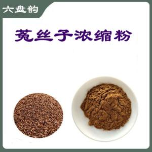 菟丝子浓缩粉   99%纯粉   六盘韵