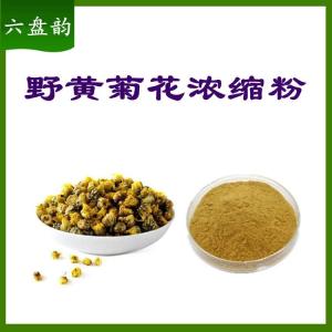 野菊花浓缩粉   六盘韵    可定做野菊花提取物