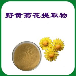 野黄菊花提取物   水溶性野菊花提取物  六盘韵