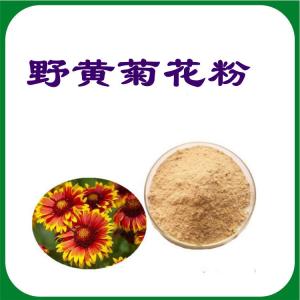 野黄菊花粉   精细粉末   可定制