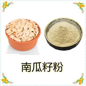 南瓜籽粉 厂家供应 南瓜子速溶粉 可定制生产