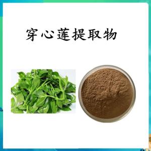 穿心莲提取物  六盘韵   水溶穿心莲粉  可定制