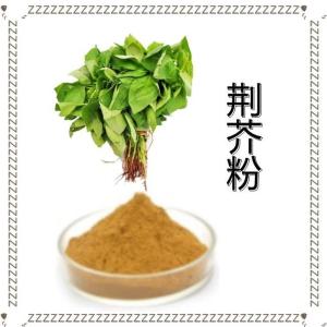 荆芥粉 六盘韵厂家供应 荆芥速溶粉 可定制