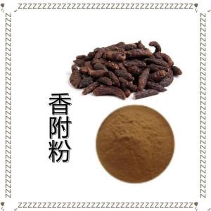 香附粉 可定制生产香附速溶粉