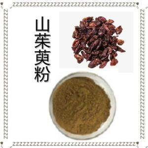 山茱萸粉 可定制 厂家