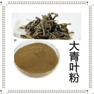 大青叶粉 水溶性好 蓝叶蓝菜粉