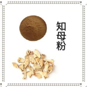 知母粉   知母速溶粉 知母提取物10:1