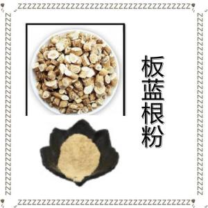 板蓝根粉 板蓝根浓缩粉