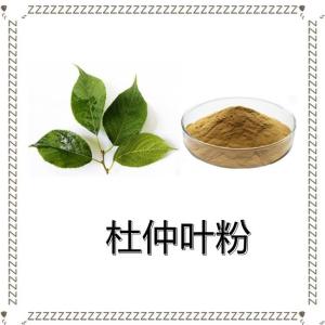 杜仲叶粉 六盘韵厂家供应 水溶性杜仲叶提取物粉