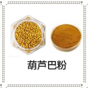 葫芦巴粉  水溶性好 喷雾干燥苦豆粉