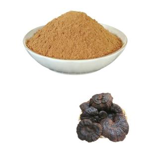 斯诺特灵芝粉 比例浓缩食品级 水溶可定制