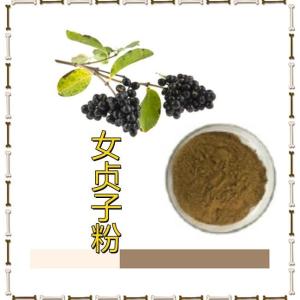 女贞子粉 10:1多规格