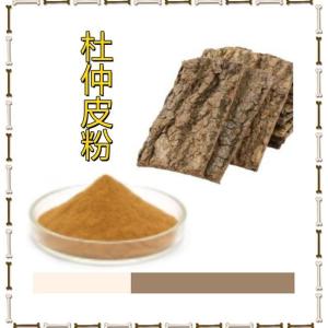 杜仲皮粉 杜仲皮粉 杜仲浸膏粉