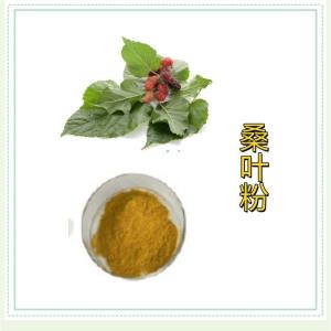 桑叶粉 生产厂家