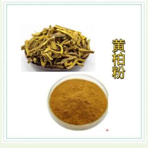 黄柏粉厂家 大量 全国包邮